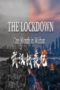 The Lockdown One Month in Wuhan (2020)